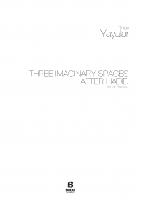 Three Imaginary Spaces after hadid A3 z